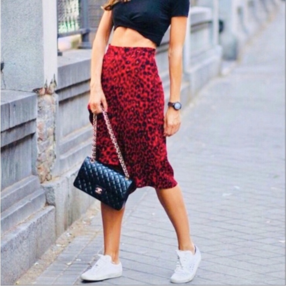 2 ZARA 🐆 Skirts